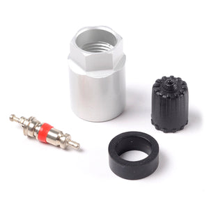 17-20010AK | VOLVO TPMS VALVE STEM KITS